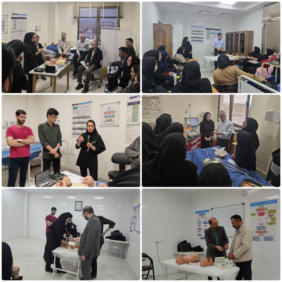 InShot ۲۰۲۴۱۱۲۸ ۱۷۲۸۴۲۹۸۴