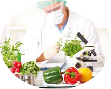 صنایع غذایی