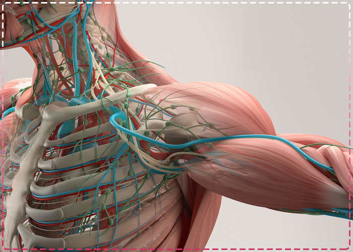 فیزیولوژی و علوم تشریح